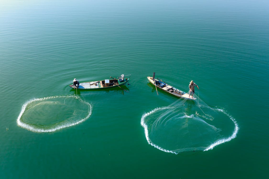 Commercial Fishing Done the Sustainable Way