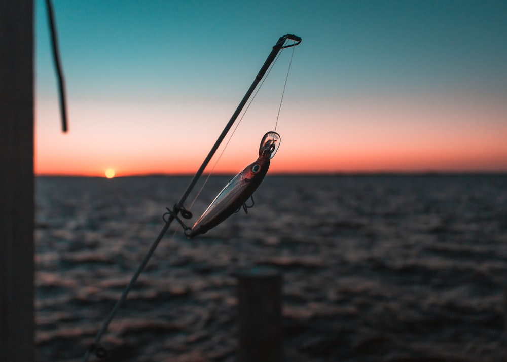 Fishing in the River Versus the Sea: What’s the Difference?