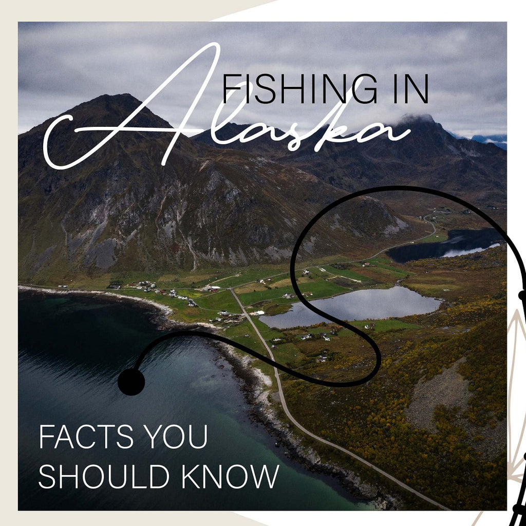 Fishing in Alaska: Facts You Should Know