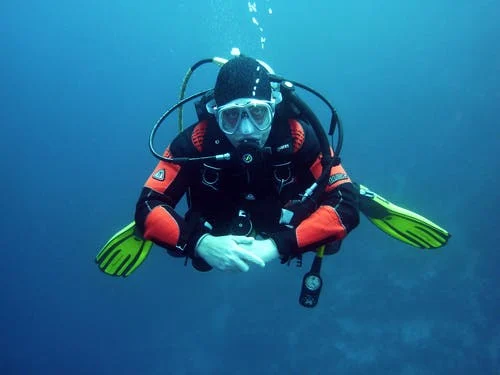 Scuba Diving In Alaska—5 Ways To Stay Safe And Comfortable